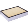 Filtre PANCLEAN AP8084