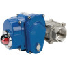 Vanne DURAVIS BLV050SSACT24VDC