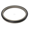 Racleur HALLITE ASP606685PTFE
