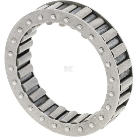 Cage BASS BF121Z