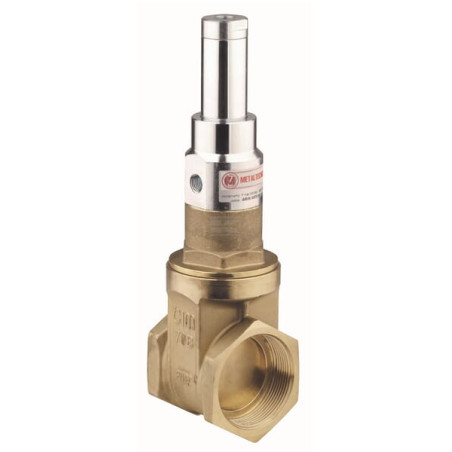 Robinet-vanne MZ ARIN3075100000