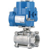 Vanne DURAVIS BLV050SSACT