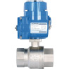 Vanne DURAVIS BLV080ACT