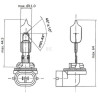 Ampoule UNIVERSEL B37513KR