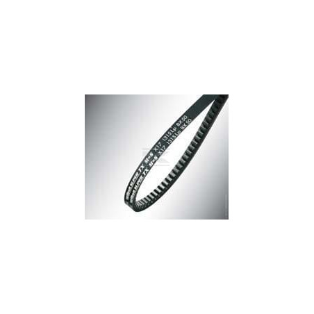Courroie OPTIBELT AX13871