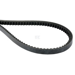 Courroie BRILL B07238