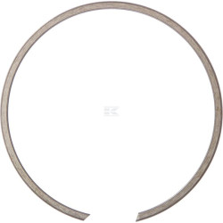 Circlip IDC BR58