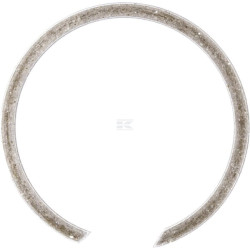 Circlip IDC BR25