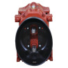 Pompe BATTIONI PAGANI BREVO170D
