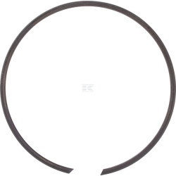 Circlip IDC BR100
