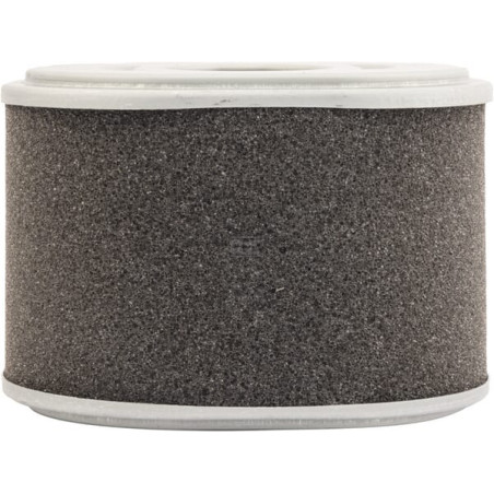 Filtre à air MANN-FILTER C10015