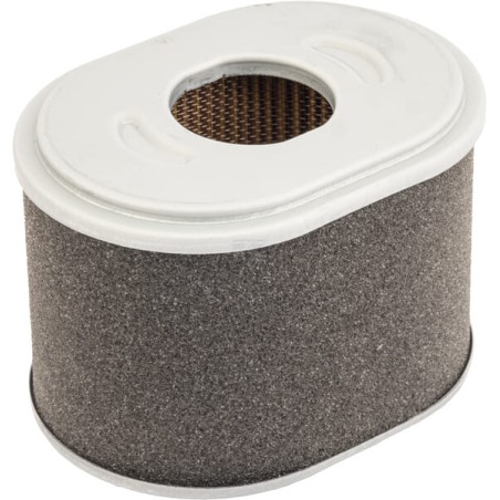 Filtre à air MANN-FILTER C10015