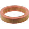 Filtre à air MANN-FILTER C28731