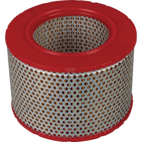 Filtre à air MANN-FILTER C15556