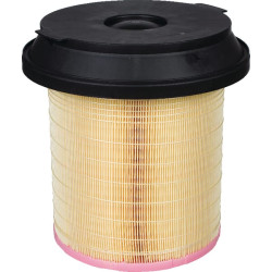 Filtre à air MANN-FILTER C29010KIT