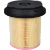 Filtre à air MANN-FILTER C29010KIT