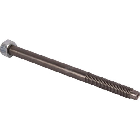 Boulon CARRARO CI046879