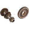 Primary axis CARRARO CI066924