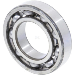 Roulements à billes CARRARO CI025829
