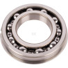 Roulement CARRARO CI026164