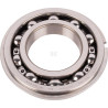 Roulement CARRARO CI026164