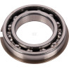 Roulement CARRARO CI025750