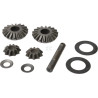 Différentiel CARRARO CI066140