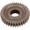 Pignon CARRARO CI120933