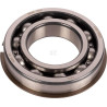 Roulements à billes CARRARO CI026160