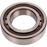 Roulements à rouleaux CARRARO CI027534