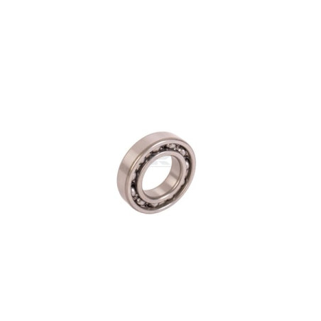 Roulements à billes CARRARO CI025735