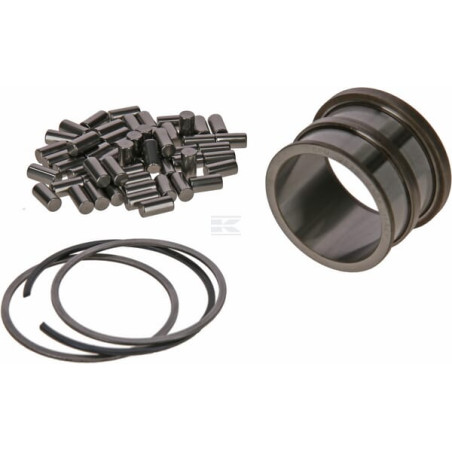 Roulements à rouleaux CARRARO CI642513