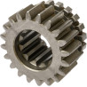 Engrenage CARRARO CI130080