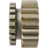 Engrenage CARRARO CI130080