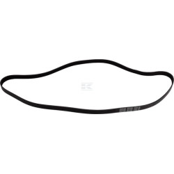 Courroie CARRARO CI401645