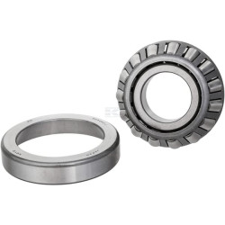 Roulement CARRARO CI406796