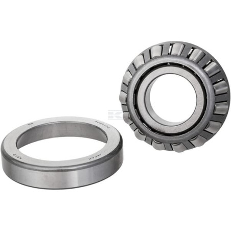 Roulement CARRARO CI406796