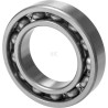Roulements à billes CARRARO CI146670