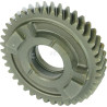 Engrenage CARRARO CI123098