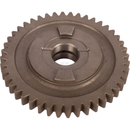 Pignon CARRARO CI123652