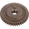 Pignon CARRARO CI123652