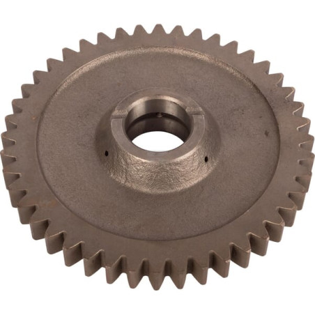 Pignon CARRARO CI123652