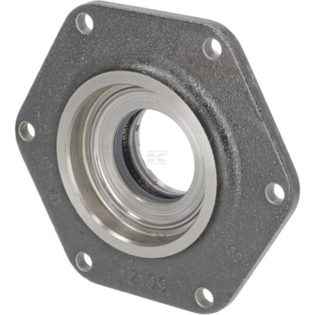 Différentiel CARRARO CI373888