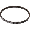 Courroie MTD 100000811 - 100.000.811