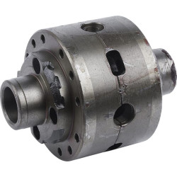 Satellite CARRARO CI131091