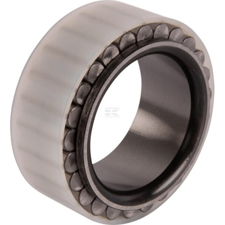 Roulement CARRARO CI141859