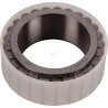 Roulement CARRARO CI141859