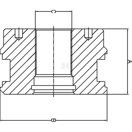 Piston UNIVERSEL DS2918004