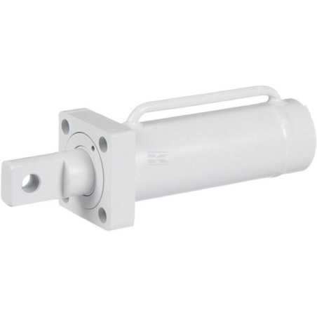 Vérin changement rapide UNIVERSEL D324580CW1