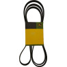 Courroie JOHN DEERE DZ118741